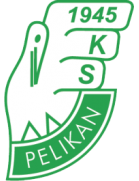 Pelikan Lowicz II