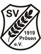 SV 1919 Prösen