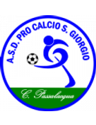 Pro Calcio San Giorgio 2008