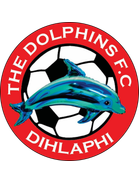 The Dolphins FC