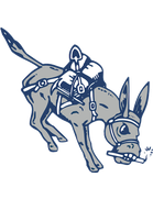 Colorado School Of Mines