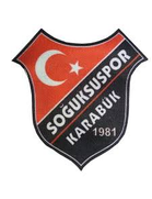 100. Yil Soguksuspor
