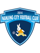 Nanjing City