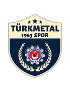 Hacettepe Türk Metal 1963 Spor