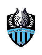 Bursa Genclergücü Spor