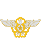 Korea Air Force