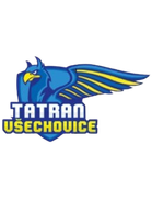 Tatran Vsechovice Jugend