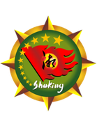 Hunan Shoking
