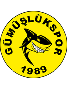 Gümüslük Genclik Spor
