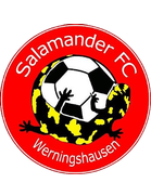 SV Salamander Werningshausen