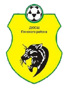 DYuSSh Pinskiy Rayon
