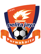Pelita Jaya Youth (- 2016)