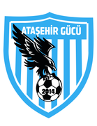 Atasehirgücü Spor