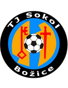 TJ Sokol Bozice