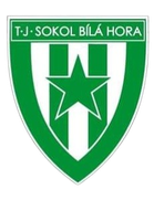 TJ Sokol Bila Hora
