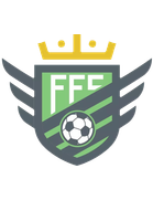 FC Falcons