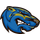 Brescia Bearcats (Brescia University) Brescia Bearcats (Brescia University)