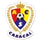 ACS Caracal