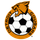 Detroit Cougars