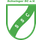 Schwinger SC
