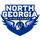 NG Nighthawks (Uni. of North Georgia)