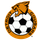 Detroit Cougars