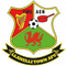 Llanelli Town AFC