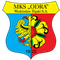 Odra Wodzislaw Slaski