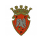 FC Penafiel Sub-23