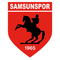 Samsunspor
