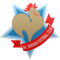 Shanghai Shenxin (-2019)
