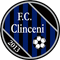 Academica Clinceni (2005 - 2022)
