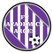 Academica Clinceni (2005 - 2022)
