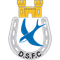 Dungannon Swifts FC