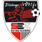 BSV Bad Bleiberg