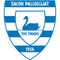 Salon Palloilijat