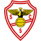 SC Salgueiros