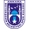 Sincan Belediyesi Ankaraspor