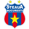 FCSB