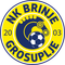 NK Brinje Grosuplje