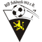 VfB Schöneck