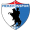 Merzifonspor
