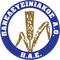 Panelefsiniakos