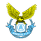 Dalian Professional (2009-2024)