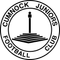 Cumnock Juniors FC