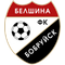 Belshina Bobruisk