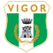 Vigor Lamezia Calcio