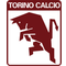 FC Turin