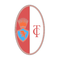 FC Turin