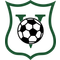 SV Vitesse SV Vitesse